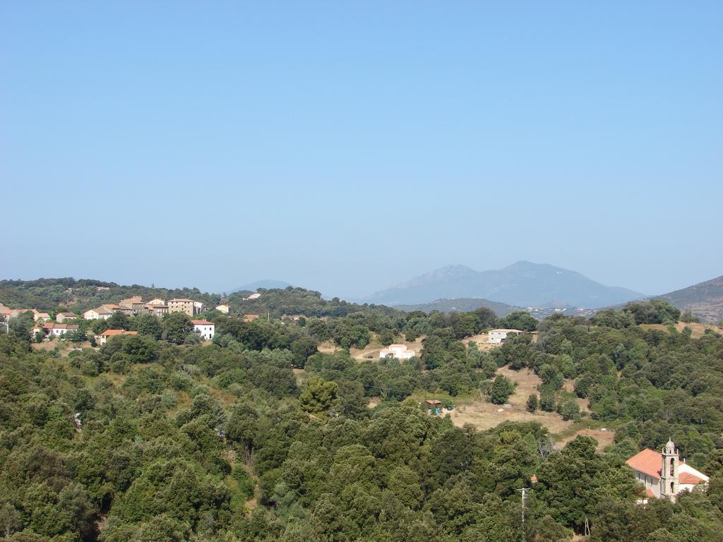 Le Gite Radica Eccica-Suarella  Quarto foto