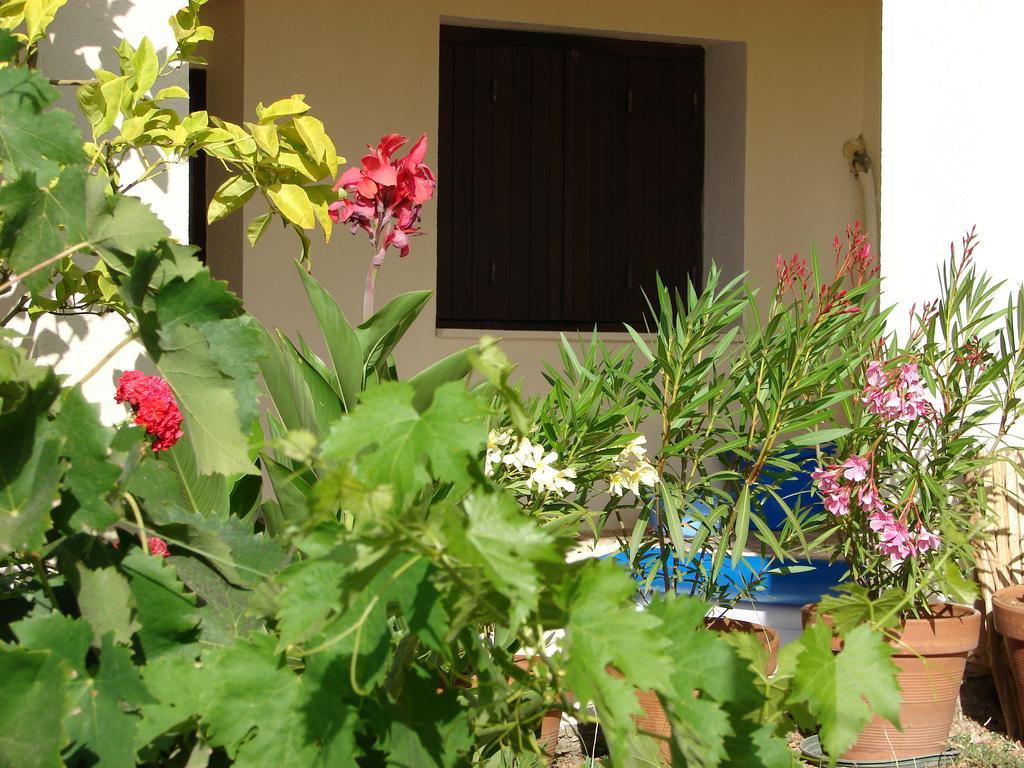 Le Gite Radica Eccica-Suarella  Quarto foto